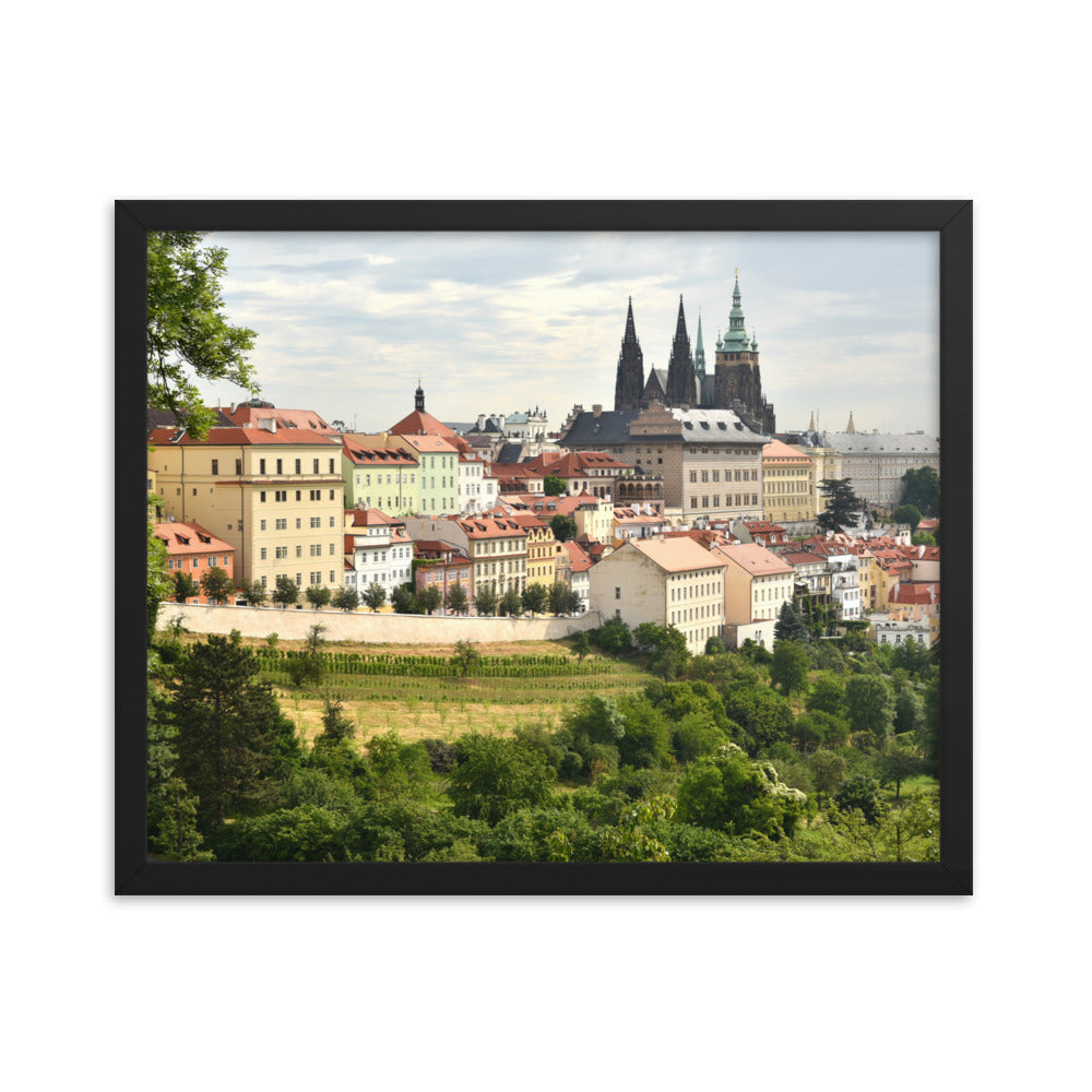 Prague Castle (Matte)