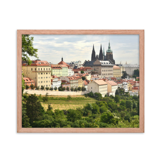 Prague Castle (Matte)