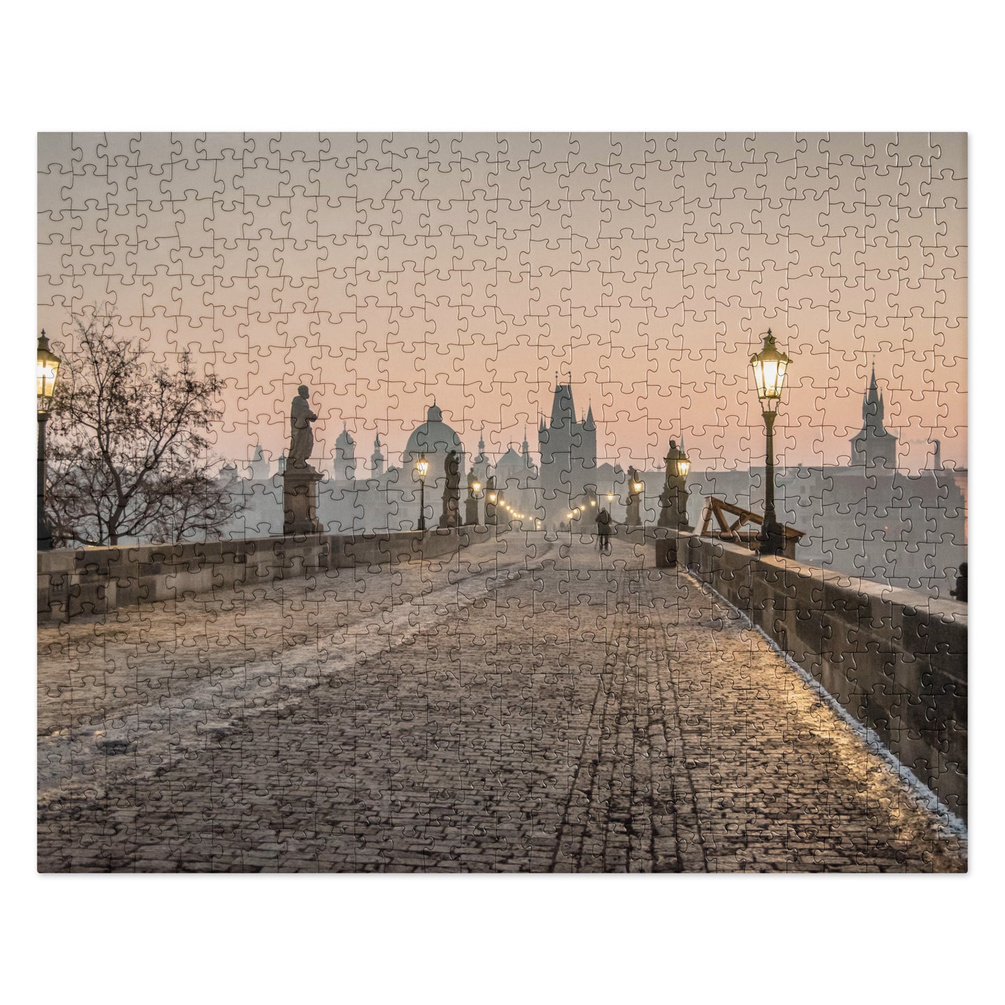 Charles Bridge