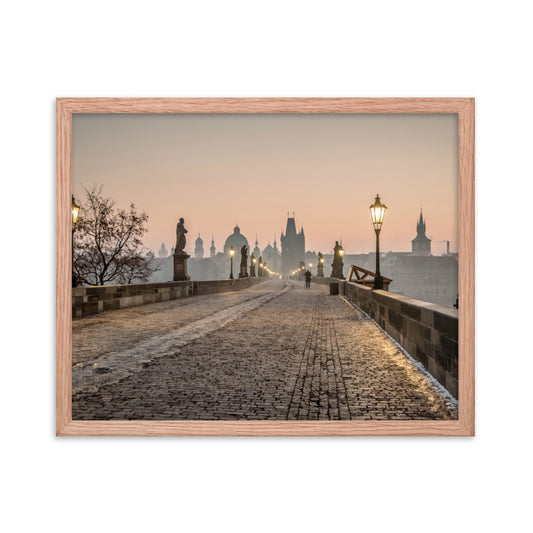 Charles Bridge (Luster)