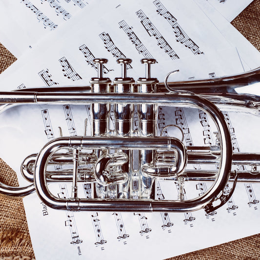 Czech Songs (Prague Castle Orchestra)