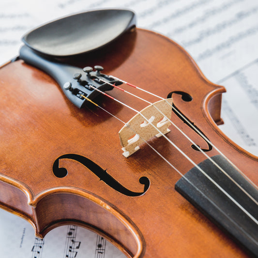Prague Castle Orchestra Plays Classics